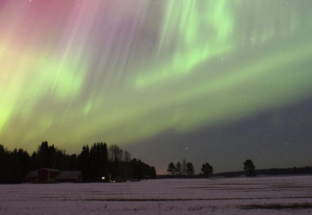 这是北极光藻的照片