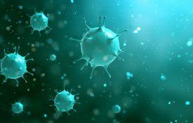 缩略图的流行和公共卫生的行为