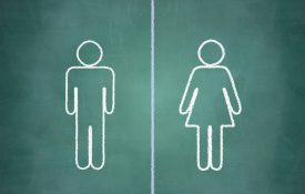 用一条线分隔的男女符号