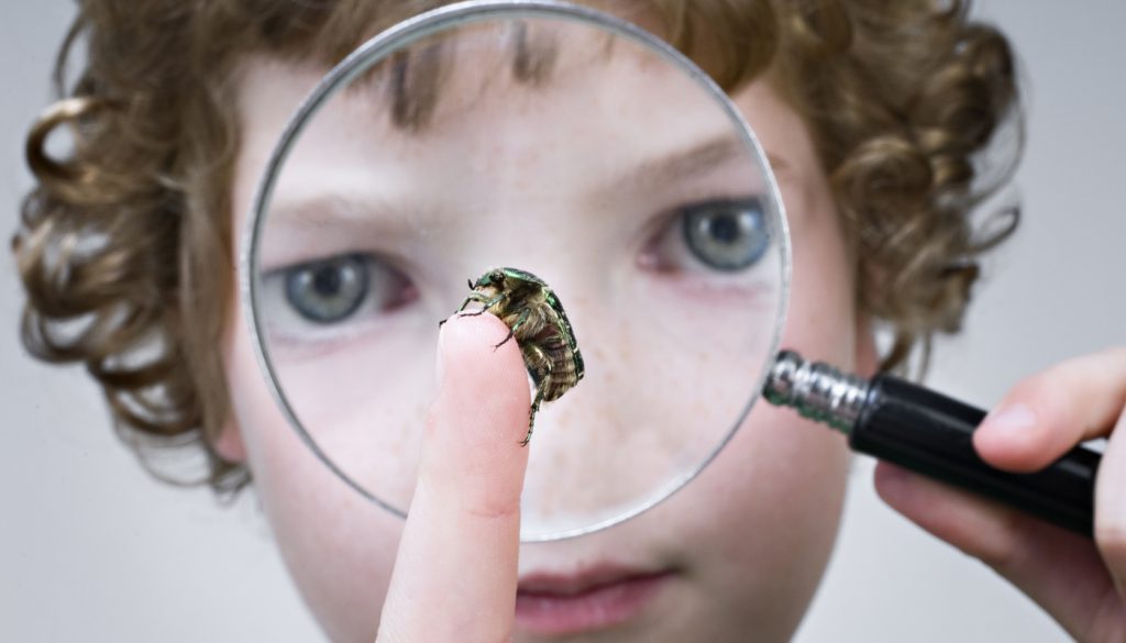 小男孩用放大镜观察甲虫