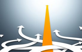 许多弯弯曲曲的箭中有一支笔直的箭