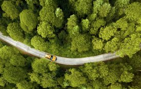 Yellow car driving on a road through a forest