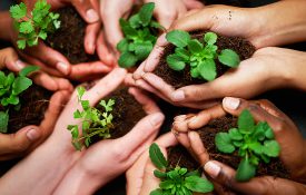Shot of a group of people each holding a plant growing in soil