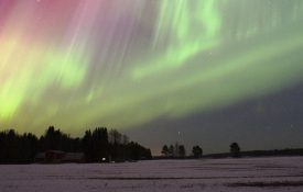 这是北极光藻的照片