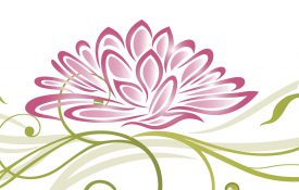 粉红色和绿色的彩色，抽象和金银丝莲