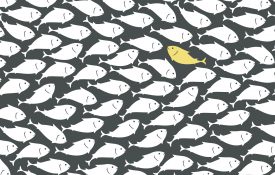 一条鱼在一群鱼中逆流而上