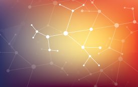 NIH对高优先级的行为和社会研究的资助网络