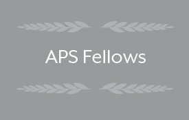 缩略图的APS的家伙们