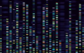 基因组分析可视化。