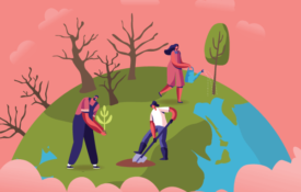 更多的在线的缩略图