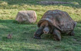 学生笔记本的缩略图:研究生院的七宗罪